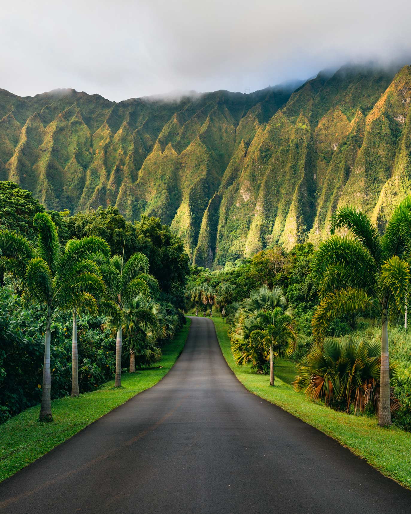 Road Work Oahu - g9ojpjm